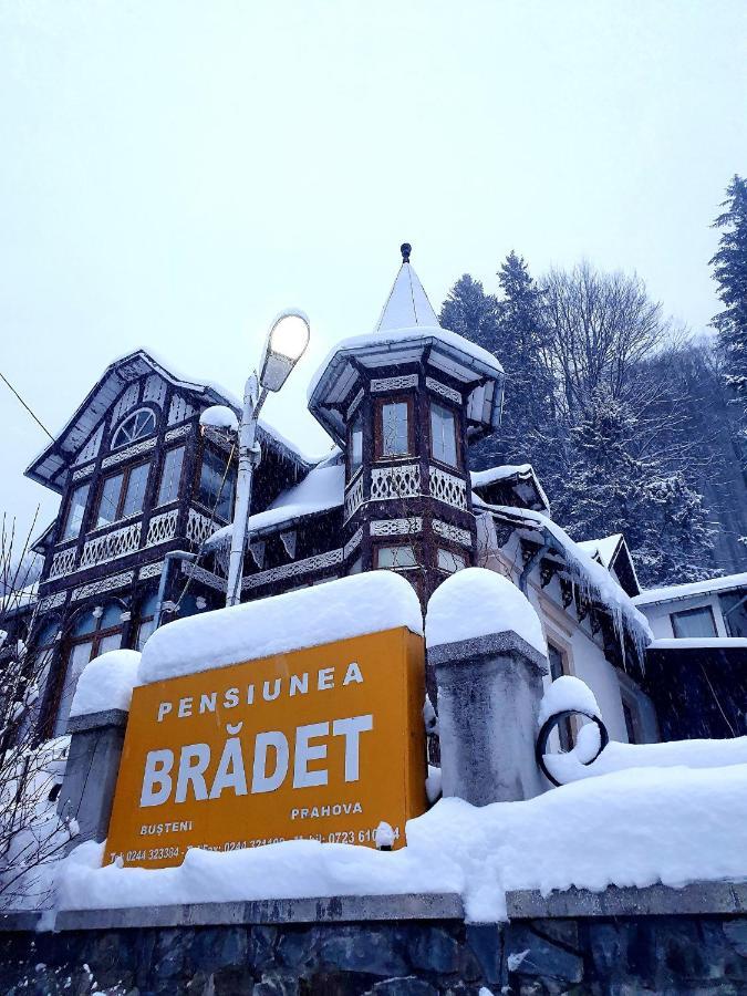 Vila Bradet Buşteni Eksteriør bilde